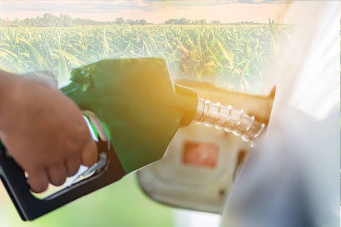 Biofuel Management