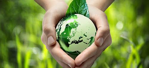 Hands holding a green globe