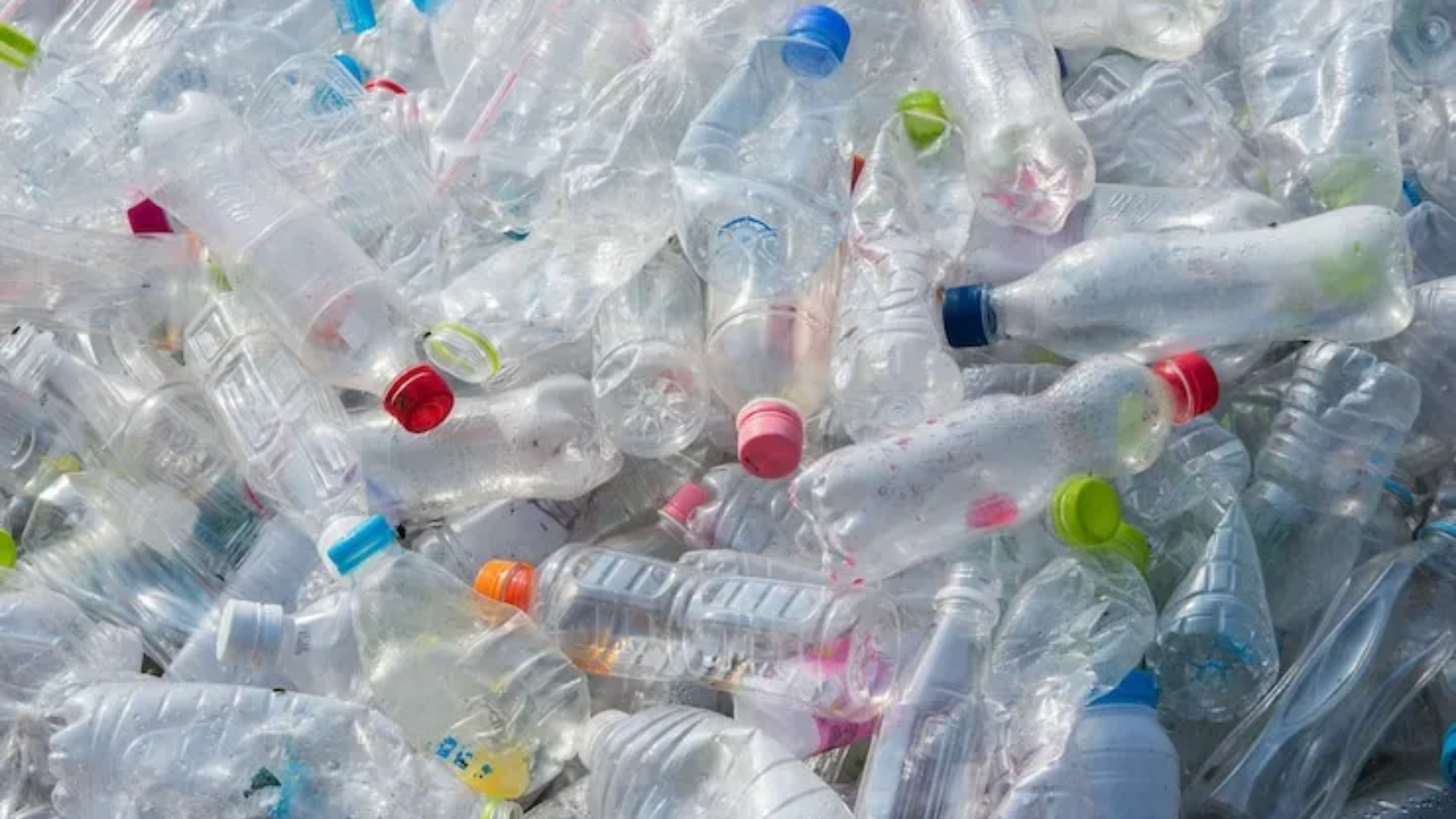 plastic recycling companies in india